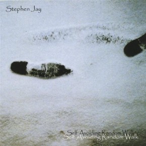 Self Avoiding Random Walk - Stephen Jay