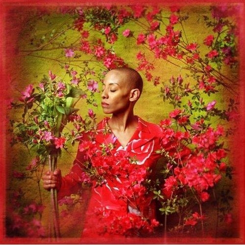 I Used To Be... - Gail Ann Dorsey