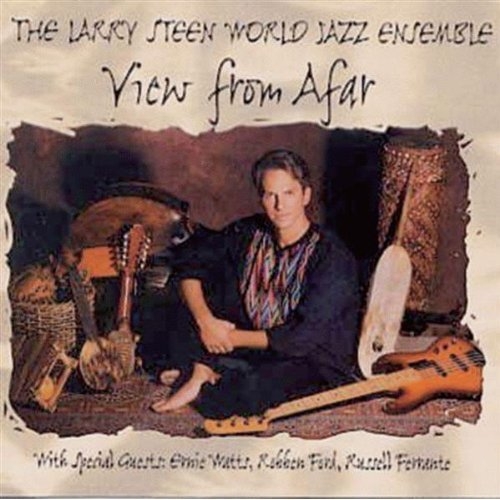 View From Afar - The Larry Steen World Jazz Ensemble