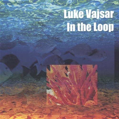In the Loop - Luke Vajsar