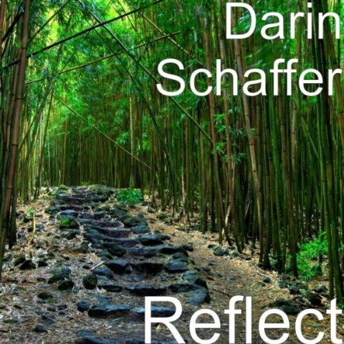 Reflect - Darin Schaffer